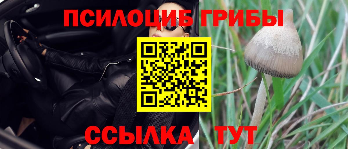 Подольск  Галлюциногенные грибы мицелий  Вход с VPN 